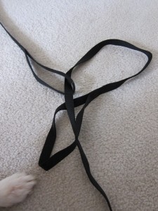 Close-up of one leash being looped through both handles.