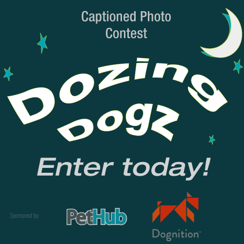 Send us a captioned photo of your dog sleeping for a chance to win prizes!