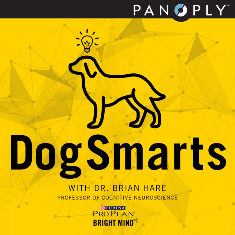 new-podcast-dogsmarts-with-dr-brian-hare-dognition