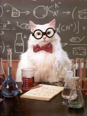 I am Science Cat.