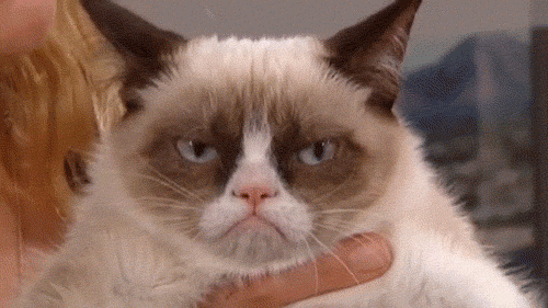 Grumpy cat disapproves.