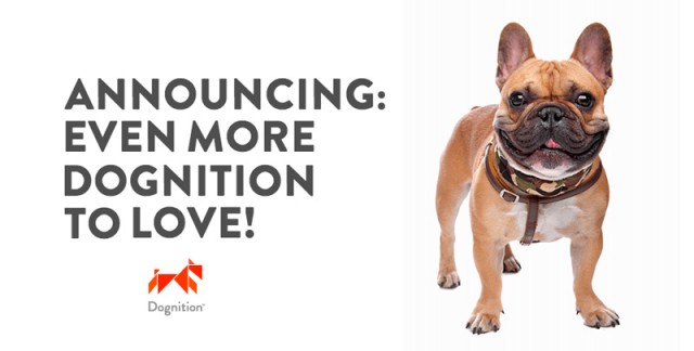 more dognition to love