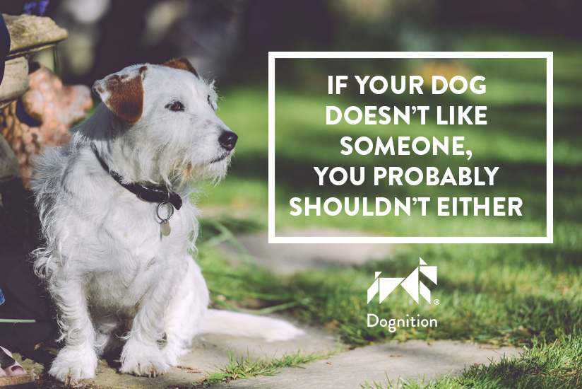 Dogs Avoid People Who Aren't Nice to Their Human - Dognition