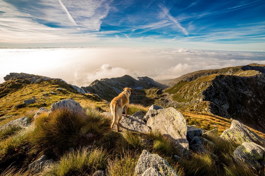 dog-mountain-mombarone-clouds-65867-large