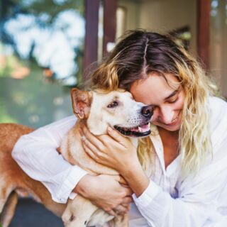 Keeping Your Dog Busy When Weather Keeps You Inside - Philly Unleashed